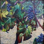 Plavic Mali Grapes1