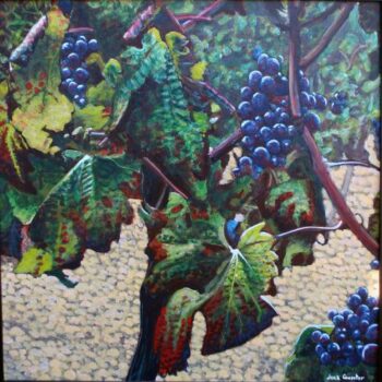 Plavic Mali Grapes1