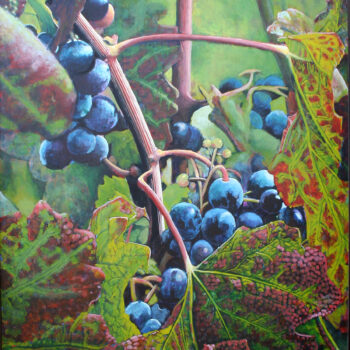 Plavic Mali Grapes vertical