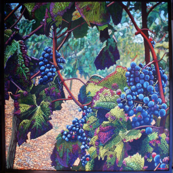 Plavic Mali Grapes magnum