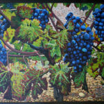 Plavic Mali Grapes horizontal