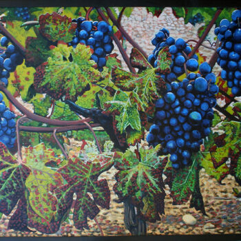 Plavic Mali Grapes horizontal